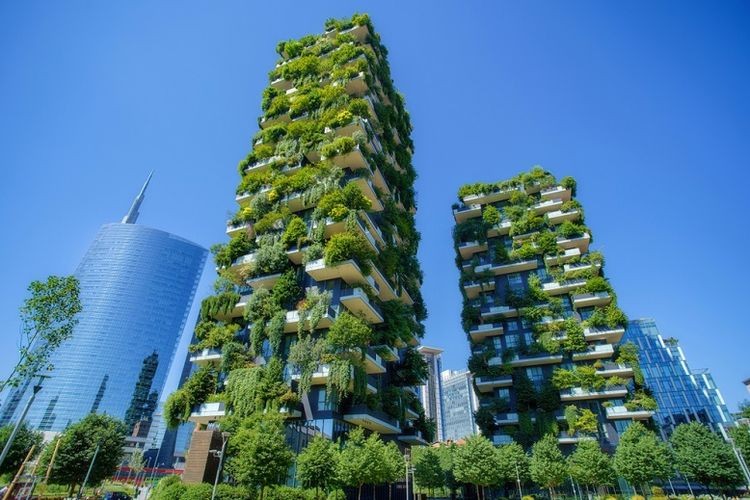 Green Building Construction: Trends and Standards